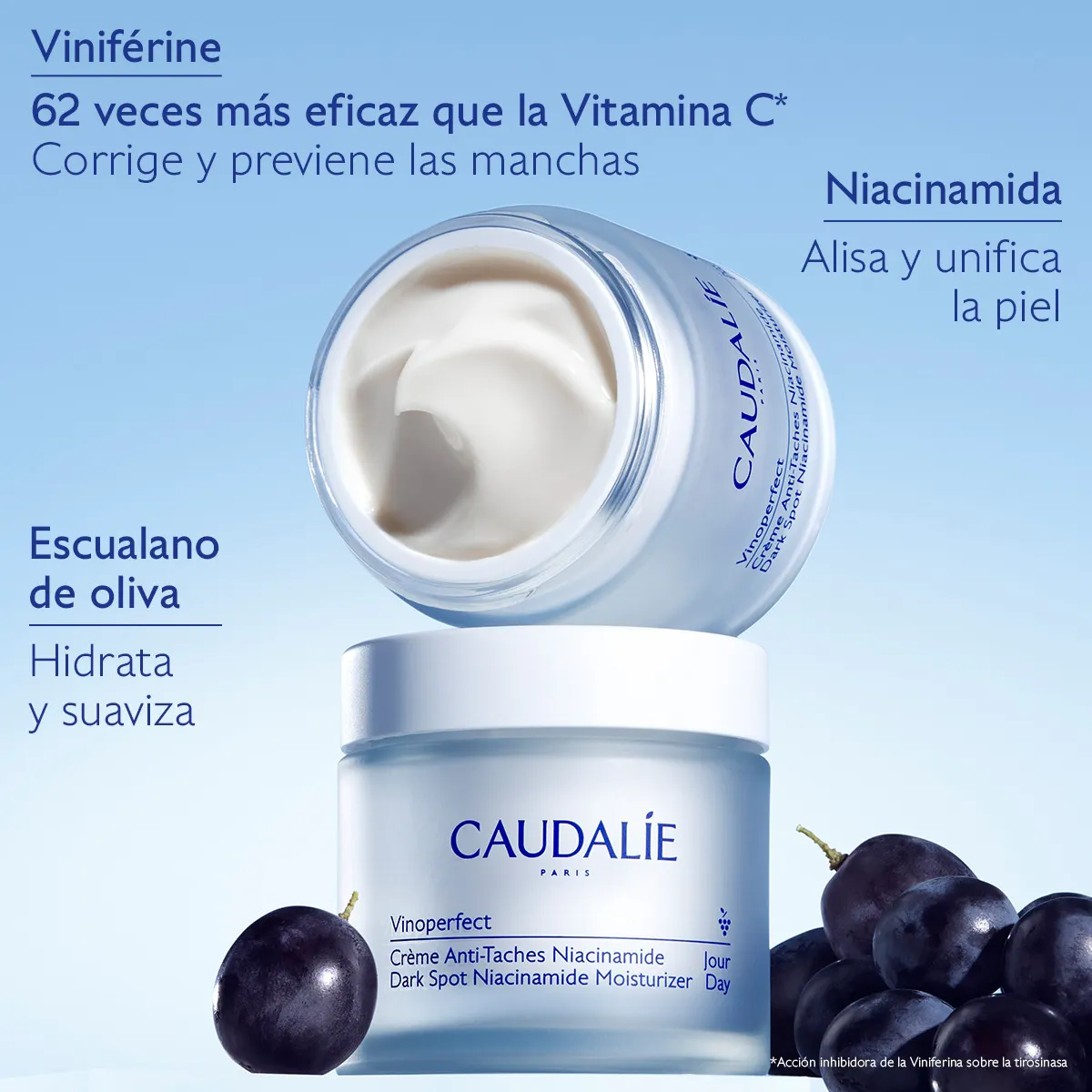 CAUDALIE VINOPERFECT CREMA RESPLANDOR...